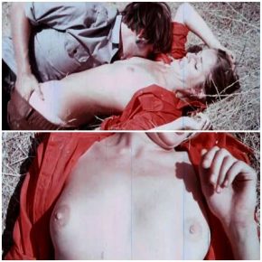 Rape Scene in The Suckers (1972).