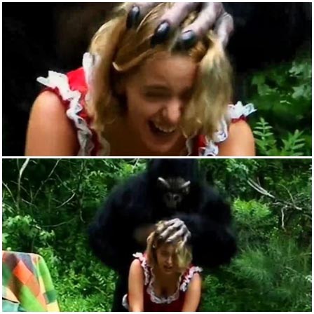 Gorilla attacks and rapes a woman during an amateur filming in nature