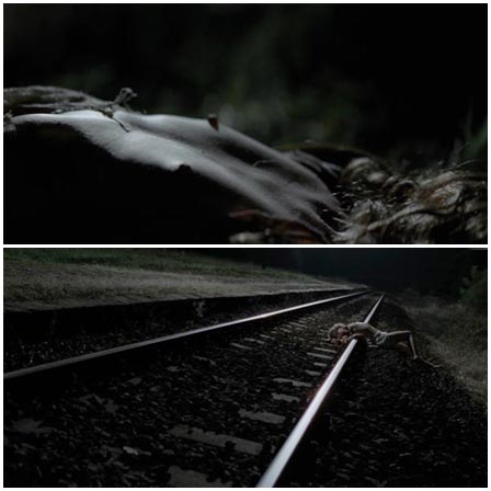 Maniac killed and raped a woman on the railroad