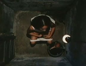 Urination scene top view