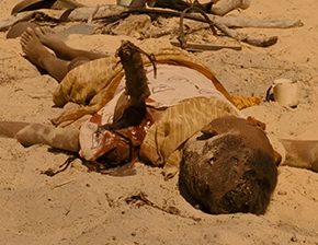 Death fetish scene #1213 (dismembering alive, stabbed, dead woman)