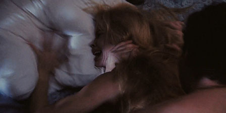 Female prisoners are forced into sex