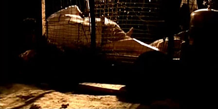Tied woman rape 2